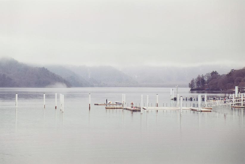 boats